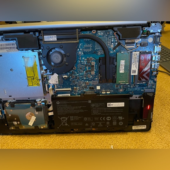 Meet your Posher, Sam - Picture 8 of 8